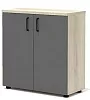Офисный шкаф для документов низкий закрытый