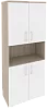 Офисный шкаф высокий широкий