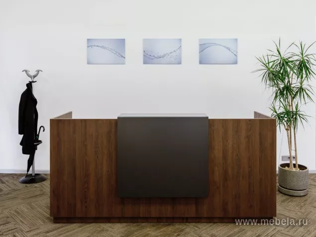 ресепшн Фаста