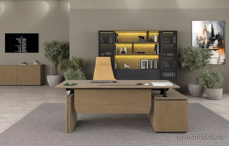 Кабинет руководителя Ион