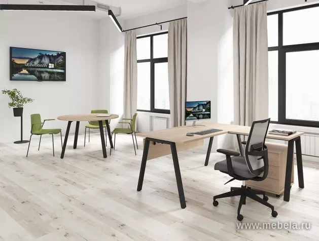 Офисная мебель Арена