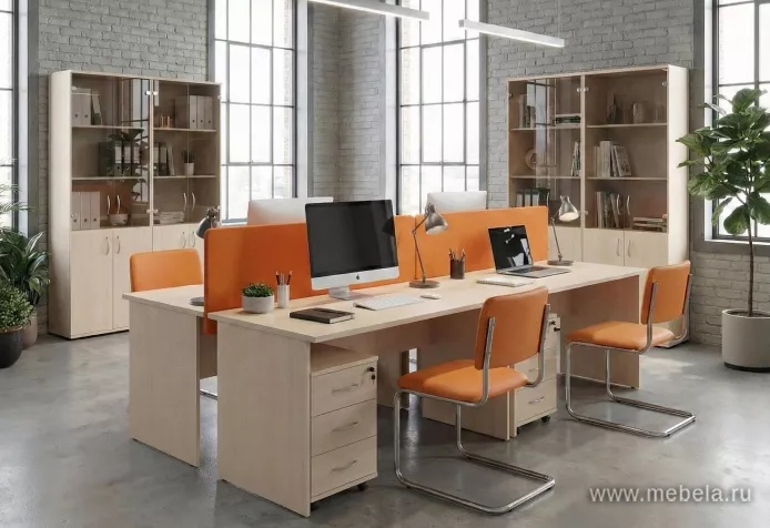 мебель Рива Клён