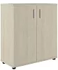 Офисный шкаф низкий закрытый