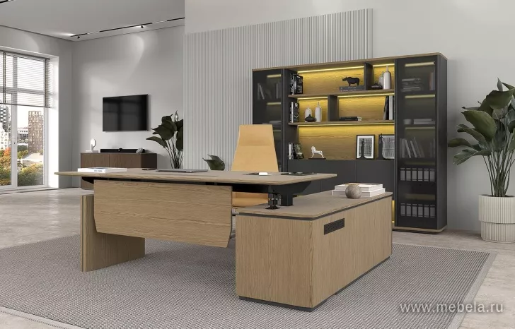 Кабинет руководителя Ион