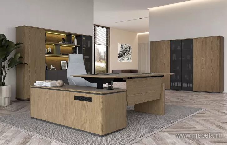 Кабинет руководителя Ион