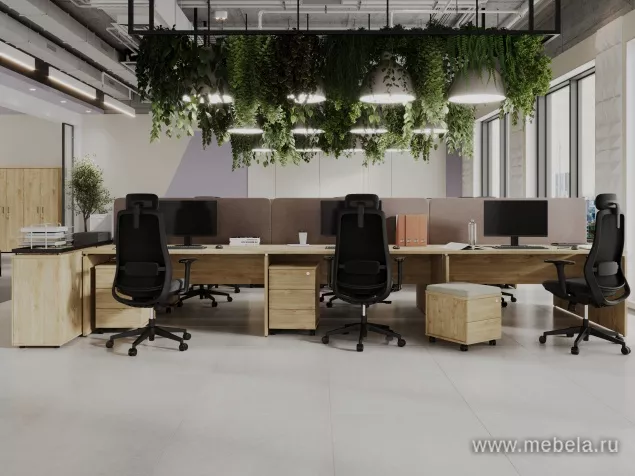 мебель Проджект Тиквуд