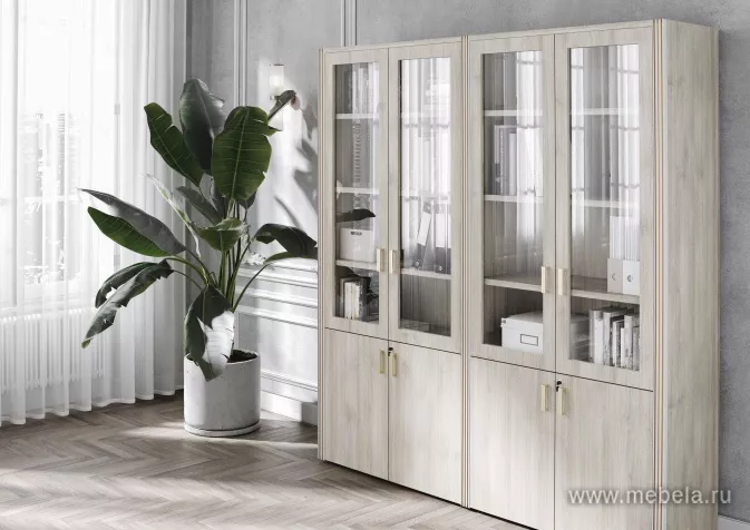 кабинет Чикаго Шамони