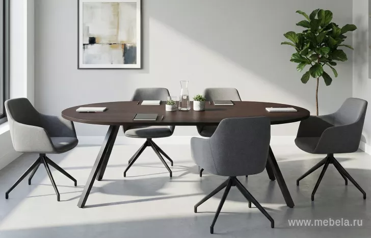 кабинет Фермо Венге