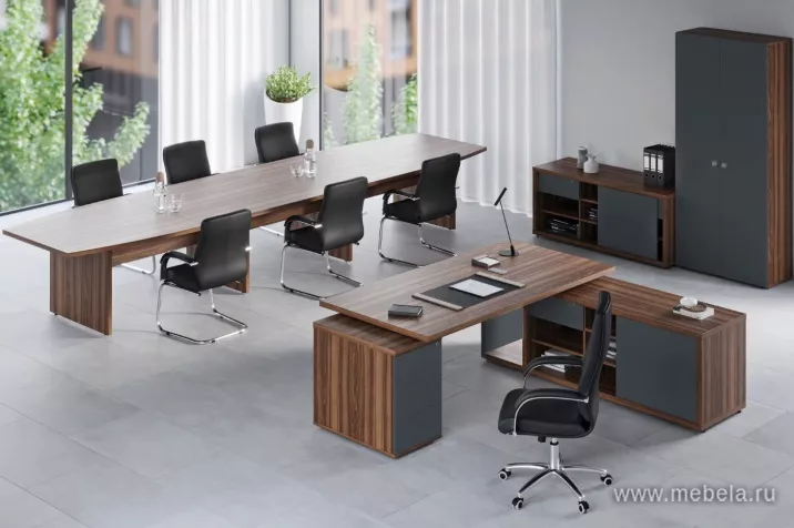 кабинет Зион Орех