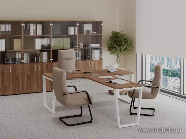 кабинет Проджект Дуб Т