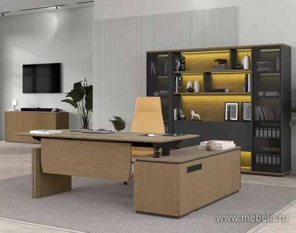 Кабинет руководителя Ион