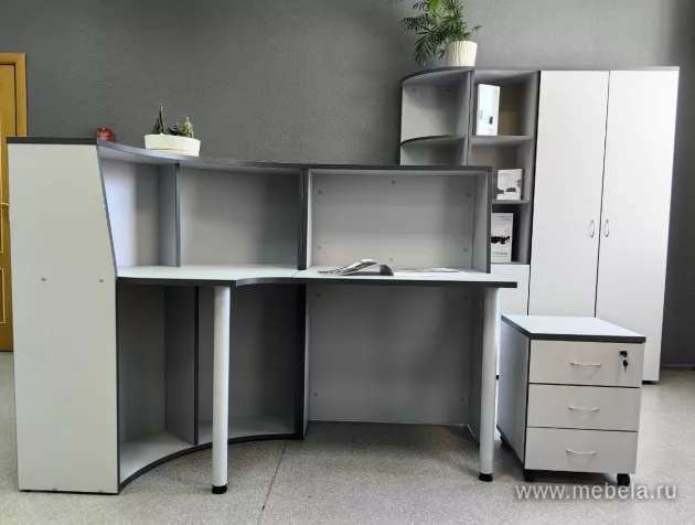 ресепшн Агат Серый