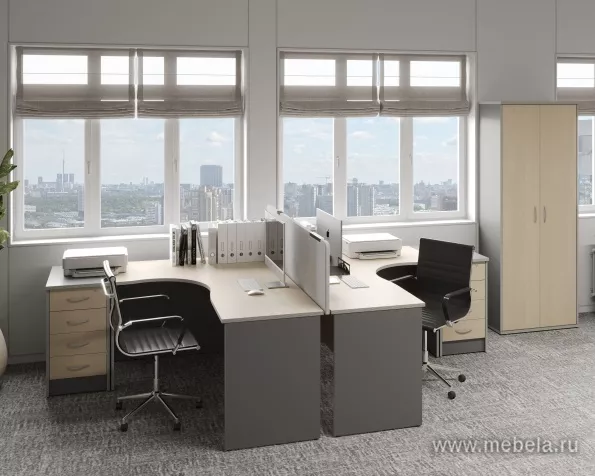 Офисная мебель Riva +