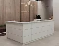 ресепшн Steel White