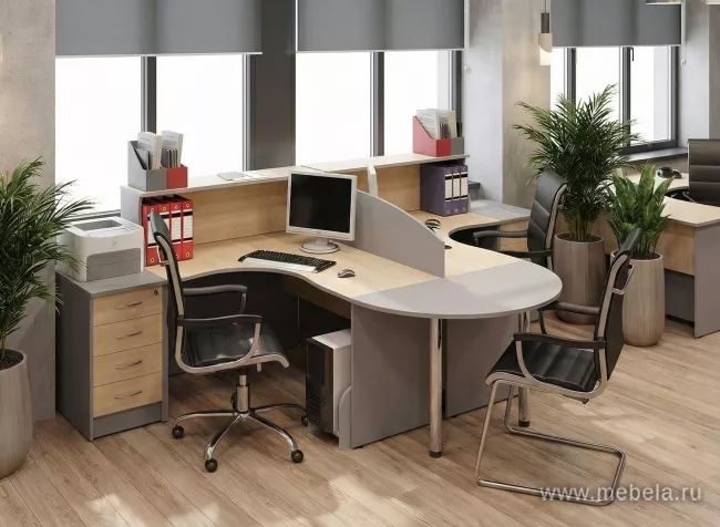 Офисная мебель Riva +