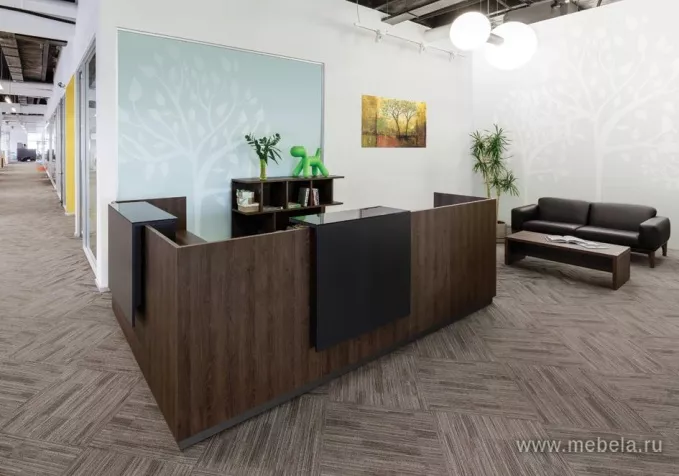 ресепшн Фаста