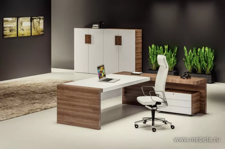 кабинет руководителя Кио