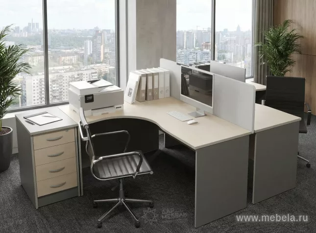 Офисная мебель Riva +