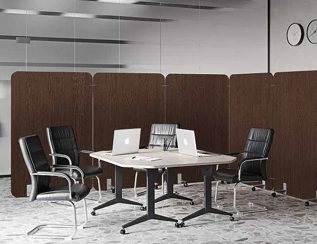 фото перегородки Р-лайн №3