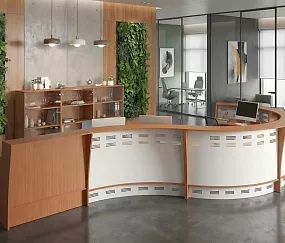 ресепшн Формула