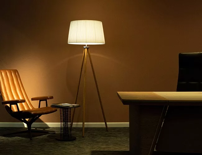 фото Торшер Стар макс №2