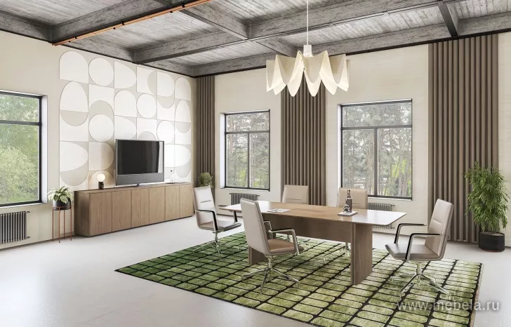 Кабинет руководителя Ион