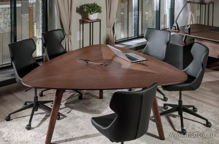 кабинет директора Рэйл