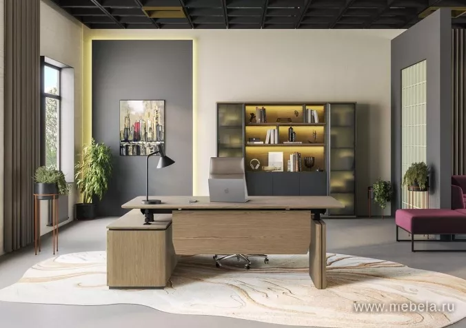 Кабинет руководителя Ион