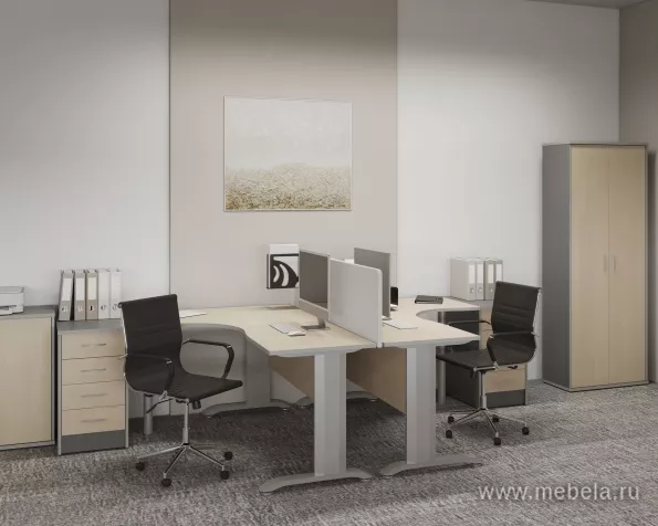 Офисная мебель Riva +
