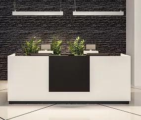 ресепшн Фаста Белый