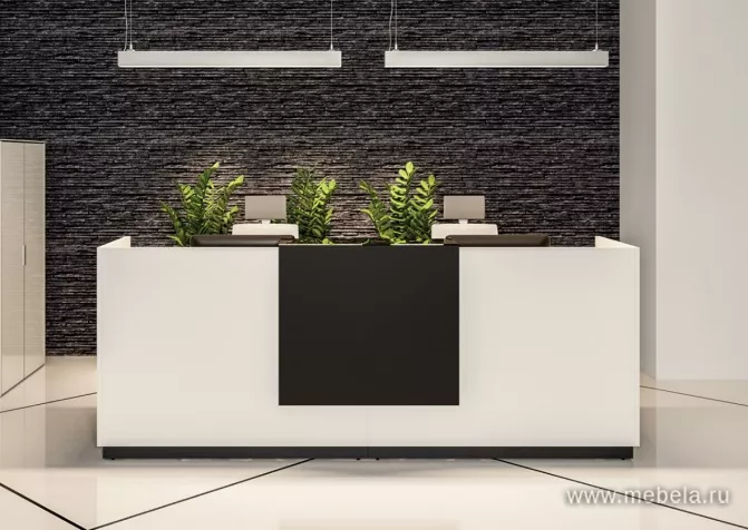 ресепшн Фаста Белый