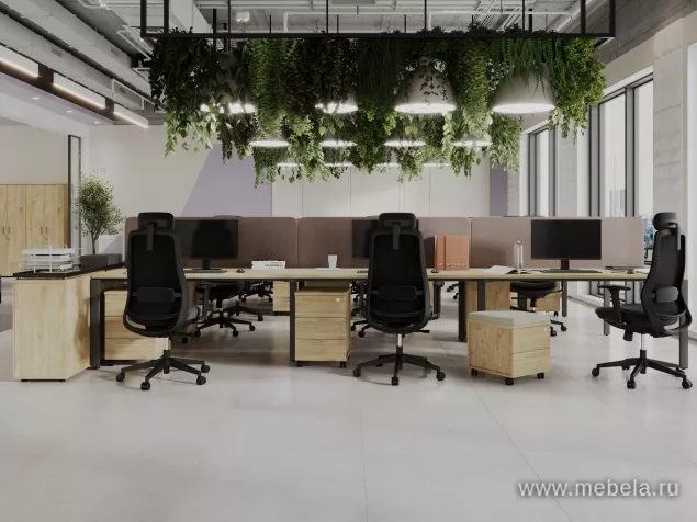 мебель Проджект Тиквуд