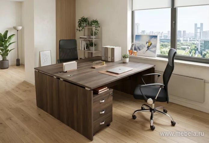 мебель Оникс Мали