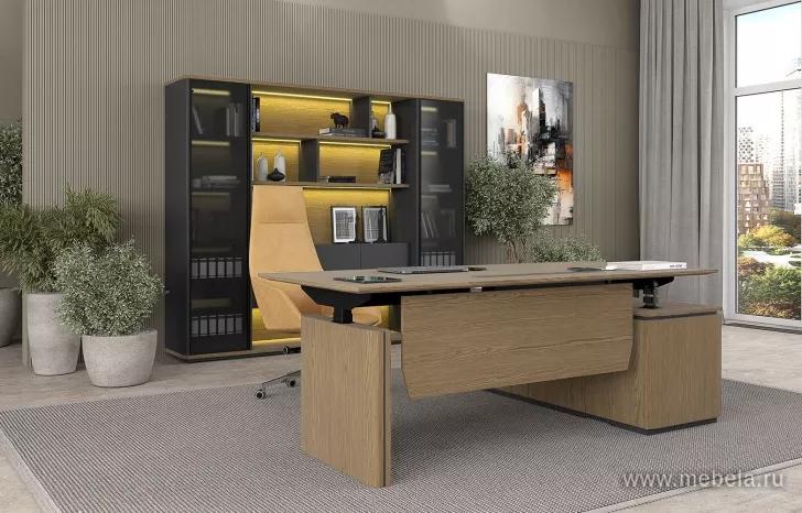 Кабинет руководителя Ион