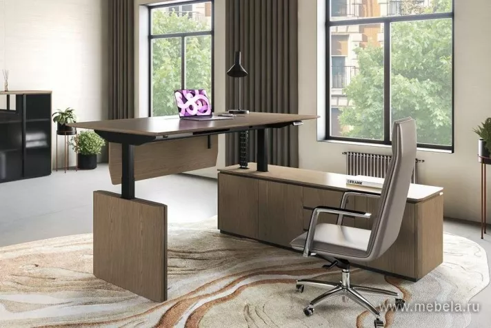 Кабинет руководителя Ион