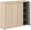 Средний Офисный шкаф для документов и гардероб +обвязка