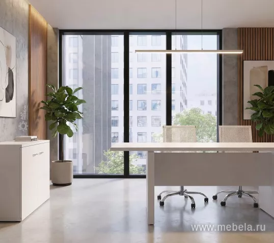 кабинет Стил Эво Белый