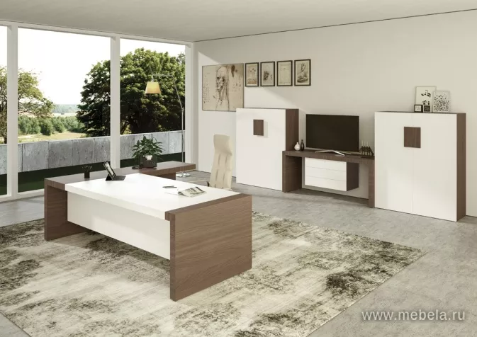 кабинет руководителя Кио