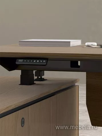 Кабинет руководителя Ион