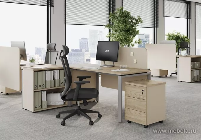 мебель для офиса Рио