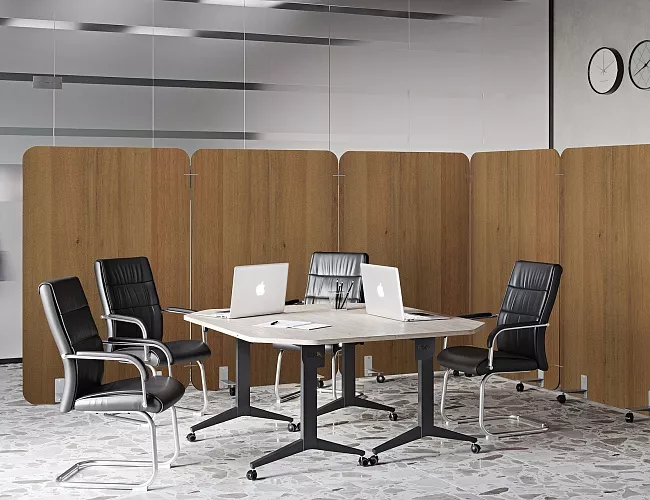 фото перегородки Р-лайн №4