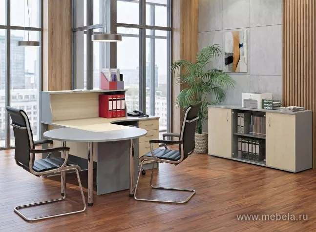 Офисная мебель Riva +