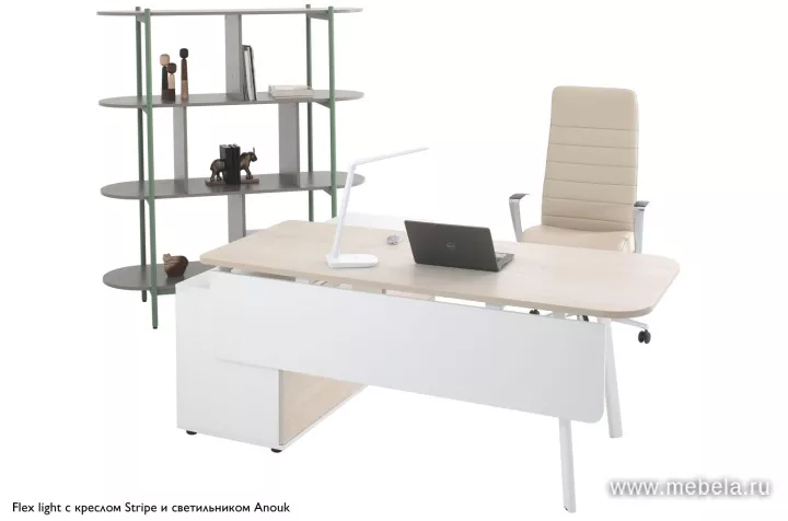 кабинет Флекс Лайт