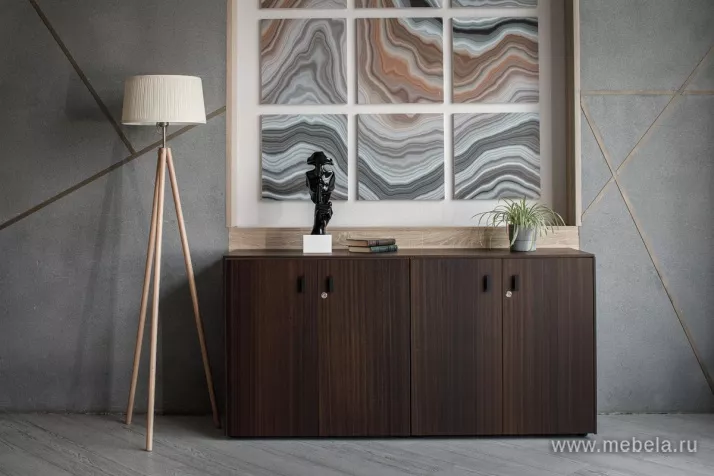 кабинет Тесла