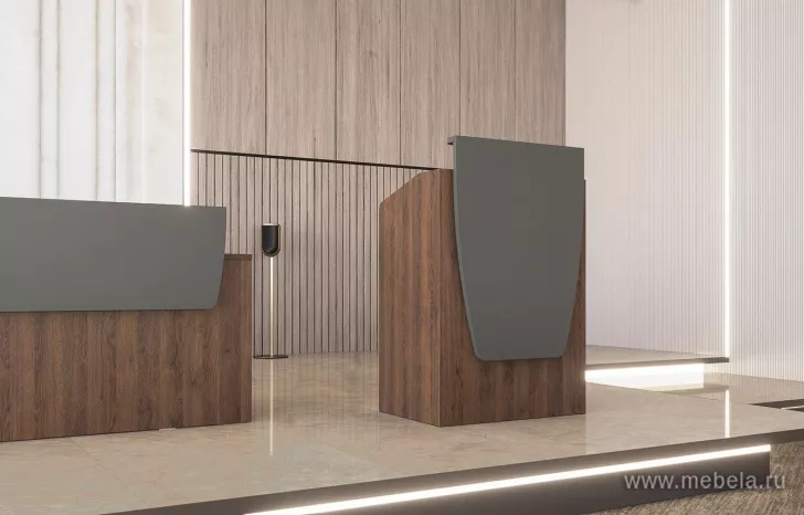 стойка ресепшн Спич