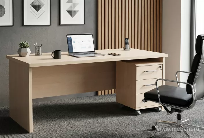 кабинет Фёст Клён 