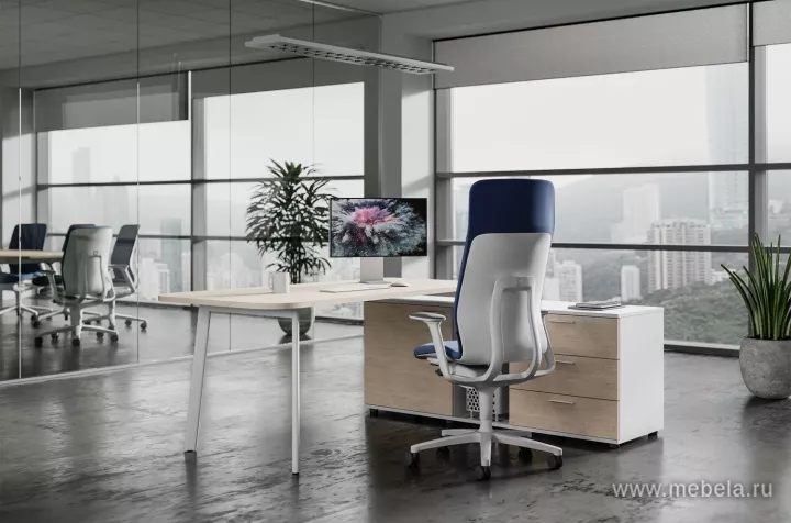 кабинет Флекс Лайт