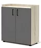 Офисный шкаф для документов низкий закрытый