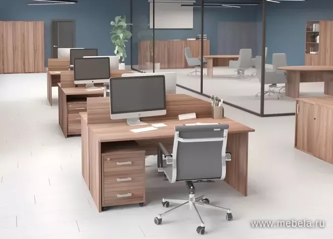 офисная мебель Argo
