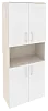 Офисный шкаф высокий широкий